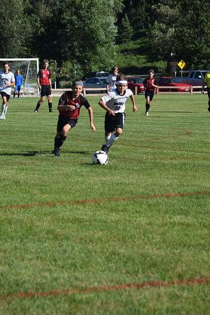 定性因素 定性因素