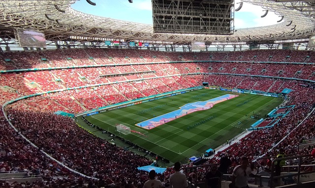 这不仅是鲍 这不仅是鲍