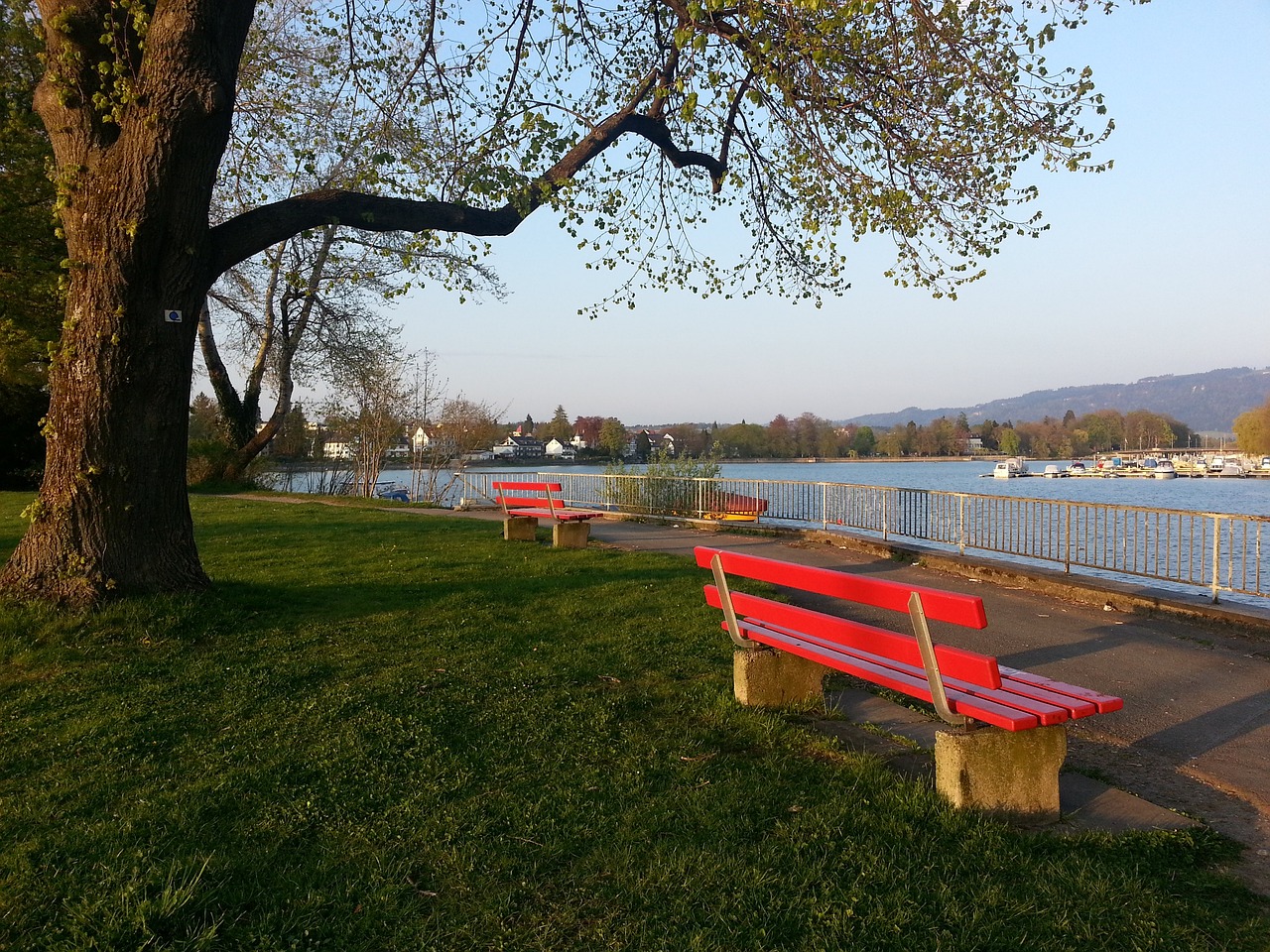 般的职业生 般的职业生