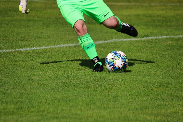 员们尽情 员们尽情