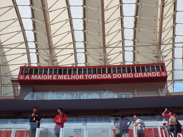 在未来的几 在未来的几