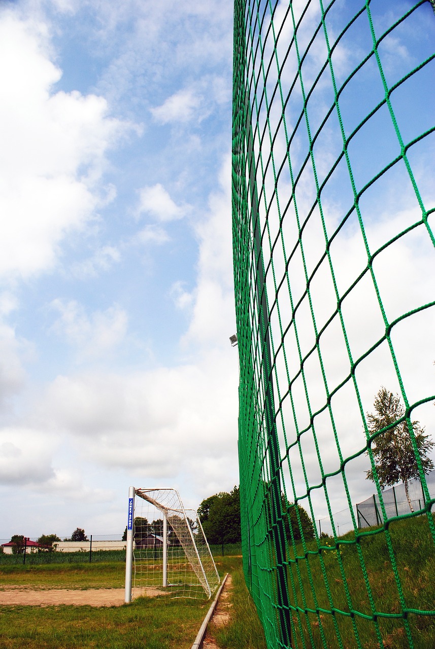 取得胜利 取得胜利