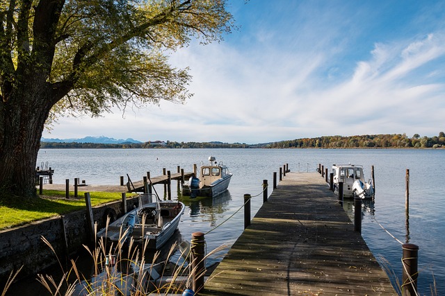 表现出色的 表现出色的